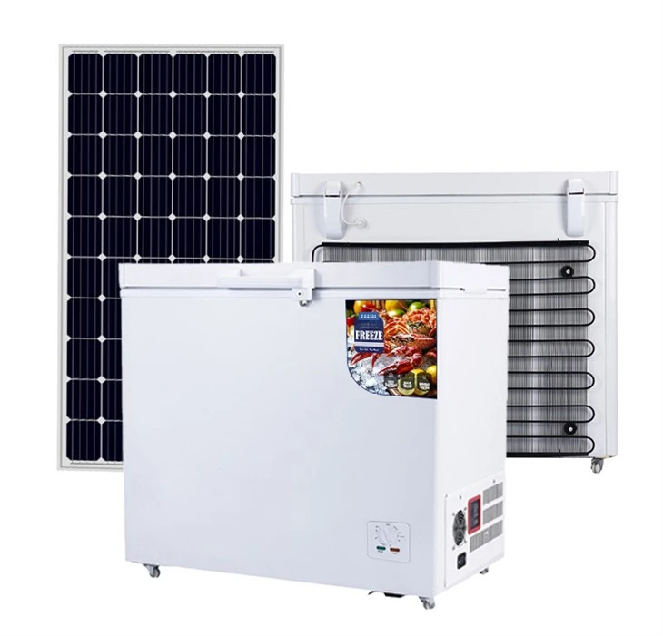 65mm Foaming Thickness Normal 10v~50vdcsolar Deep Freezer Single Door BD/BC-208